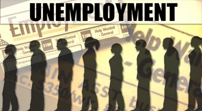 Covid-19: 42 Percent of Nigerians Now Jobless- NBS Report