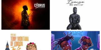 These are the Nigerian albums released so far in 2024