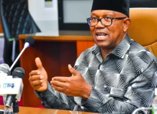 The North will celebrate me if I become president – Peter Obi
