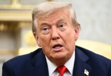 Trump Takes Aim at France Over ‘Many Problems’