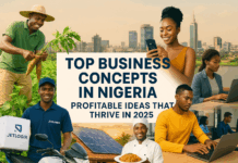 Top Business Concepts in Nigeria: Profitable Ideas That Thrive in 2025
